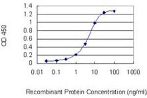 Detection limit for recombinant GST tagged INTS6 is 0. (INTS6 anticorps  (AA 779-887))