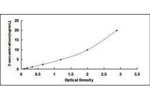 Aldolase A, Fructose-Bisphosphate (ALDOA) ELISA Kit