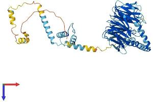 AlphaFold protein structure predicition of Human Recombinant PRPF4 Protein, UniprotID O43172