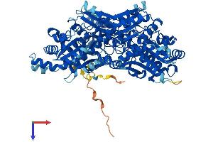 AlphaFold protein structure predicition of Human Recombinant PFKP Protein, UniprotID Q01813