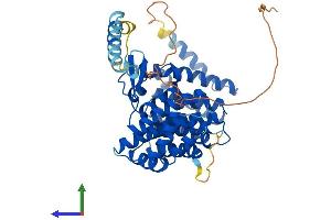 AlphaFold protein structure predicition of Human Recombinant IFRD1 Protein, UniprotID O00458