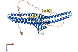AlphaFold protein structure predicition of Human Recombinant SNX2 Protein, UniprotID O60749