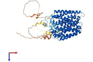 AlphaFold protein structure predicition of Human Recombinant FLVCR1 Protein, UniprotID Q9Y5Y0