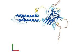AlphaFold protein structure predicition of Human Recombinant KCNJ13 Protein, UniprotID O60928