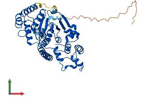 AlphaFold protein structure predicition of Human Recombinant FEN1 Protein, UniprotID P39748