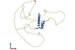 AlphaFold protein structure predicition of Human Recombinant HOXD10 Protein, UniprotID P28358