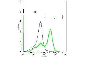 Human Raji lysates probed with Rabbit Anti-GABRR1 Polyclonal Antibody, PE Conjugated (ABIN1387368) (green) at 1:50 for 40 minutes compared to control cells with PE isotype control. (GABRR1 anticorps  (AA 201-300))