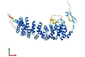 AlphaFold protein structure predicition of Mouse Recombinant Atxn10 Protein, UniprotID P28658