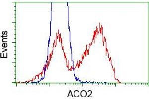 HEK293T cells transfected with either pCMV6-ENTRY ACO2 (RC204307) (Red) or empty vector control plasmid (Blue) were immunostained with anti-ACO2 mouse monoclonal (ABIN2452695), and then analyzed by flow cytometry. (ACO2 anticorps)