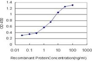 Detection limit for recombinant GST tagged CAMKK2 is approximately 0. (CAMKK2 anticorps  (AA 1-130))