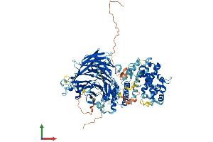 AlphaFold protein structure predicition of Human Recombinant MED16 Protein, UniprotID Q9Y2X0