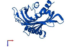 AlphaFold protein structure predicition of Mouse Recombinant Stard5 Protein, UniprotID Q9EPQ7
