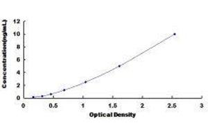 ELISA image for Transient Receptor Potential Cation Channel, Subfamily V, Member 2 (TRPV2) ELISA Kit (ABIN428808)