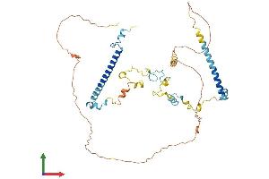 AlphaFold protein structure predicition of Mouse Recombinant Cir1 Protein, UniprotID Q9DA19 (CIR1 Protein (AA 1-450) (His tag))