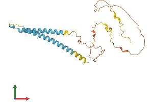 AlphaFold protein structure predicition of Human Recombinant MYCT1 Protein, UniprotID Q8N699