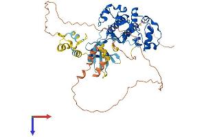AlphaFold protein structure predicition of Human Recombinant CDK17 Protein, UniprotID Q00537