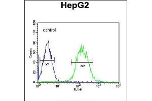 Flow cytometric analysis of HepG2 cells (right histogram) compared to a negative control cell (left histogram). (SFRS16 anticorps  (AA 254-283))
