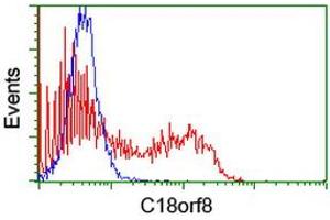Image no. 2 for anti-Chromosome 18 Open Reading Frame 8 (C18orf8) antibody (ABIN1497027) (C18orf8 anticorps)
