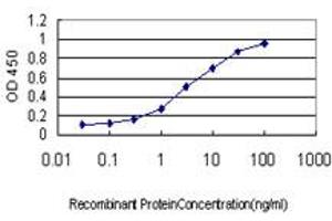 Detection limit for recombinant GST tagged LLGL1 is approximately 0. (LLGL1 anticorps  (AA 911-1010))
