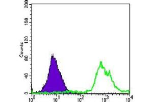 FC analysis of Jurkat cells using anti-CD247 antibody (green) and negative control (purple). (CD247 anticorps)