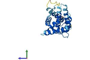 AlphaFold protein structure predicition of Human Recombinant BAX Protein, UniprotID Q07812