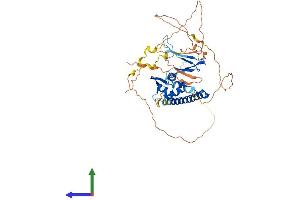 AlphaFold protein structure predicition of Human Recombinant E2F3 Protein, UniprotID O00716