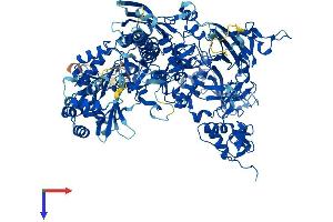 AlphaFold protein structure predicition of Mouse Recombinant Polr3b Protein, UniprotID P59470