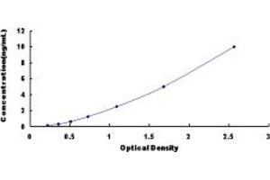 Typical standard curve (PADI6 Kit ELISA)