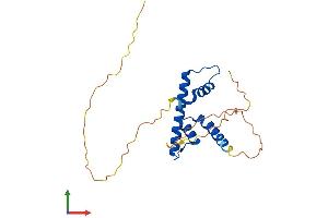 AlphaFold protein structure predicition of Human Recombinant NFYB Protein, UniprotID P25208