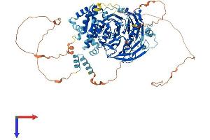 AlphaFold protein structure predicition of Human Recombinant TAF5 Protein, UniprotID Q15542