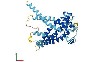 AlphaFold protein structure predicition of Human Recombinant SLC25A19 Protein, UniprotID Q9HC21