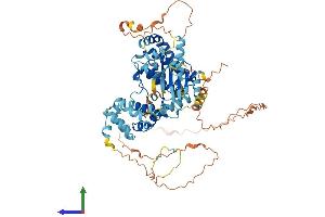 AlphaFold protein structure predicition of Human Recombinant RIPK1 Protein, UniprotID Q13546