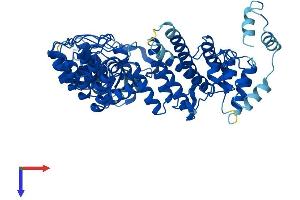 AlphaFold protein structure predicition of Mouse Recombinant Fem1b Protein, UniprotID Q9Z2G0