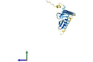 AlphaFold protein structure predicition of Human Recombinant RPAIN Protein, UniprotID Q86UA6