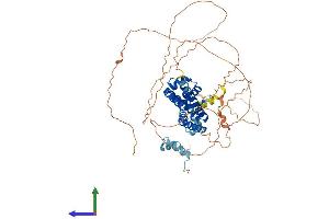 AlphaFold protein structure predicition of Human Recombinant HNF1B Protein, UniprotID P35680