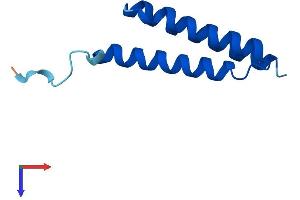 AlphaFold protein structure predicition of Human Recombinant LYRM2 Protein, UniprotID Q9NU23