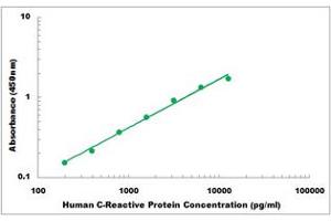 Representative Standard Curve