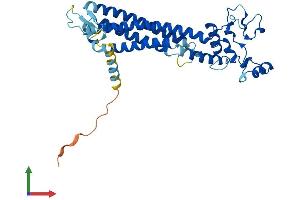AlphaFold protein structure predicition of Mouse Recombinant Prph2 Protein, UniprotID P15499