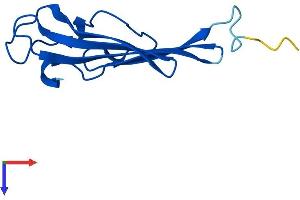 AlphaFold protein structure predicition of Mouse Recombinant Churc1 Protein, UniprotID Q6DG52
