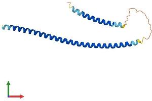 AlphaFold protein structure predicition of Human Recombinant CTAGE3P Protein, UniprotID Q8IX95