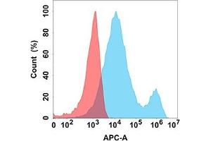 Flow cytometry analysis with Anti-LIGHT (DM170) on Expi293 cells transfected with human LIGHT (Blue histogram) or Expi293 transfected with irrelevant protein (Red histogram).