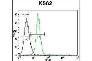 JAG1 Antibody (C-term) (ABIN656080 and ABIN2845426) flow cytometric analysis of K562 cells (right histogram) compared to a negative control cell (left histogram). (JAG1 anticorps  (C-Term))