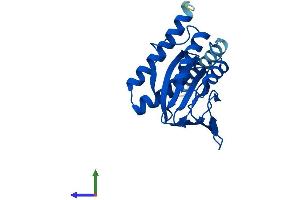AlphaFold protein structure predicition of Human Recombinant SIGMAR1 Protein, UniprotID Q99720