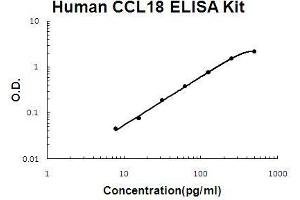 Human CCL18/PARC PicoKine ELISA Kit standard curve (CCL18 Kit ELISA)