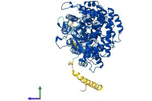 AlphaFold protein structure predicition of Human Recombinant RRM1 Protein, UniprotID P23921