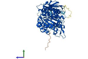 AlphaFold protein structure predicition of Human Recombinant PRMT5 Protein, UniprotID O14744