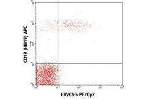 Flow Cytometry (FACS) image for anti-Fc Fragment of IgE, Low Affinity II, Receptor For (CD23) (FCER2) antibody (PE-Cy7) (ABIN2659464)