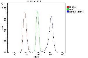 Flow Cytometry analysis of THP-1 cells using anti-Stathmin 1 antibody (ABIN3043301). (Stathmin 1 anticorps  (N-Term))