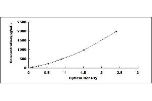 Typical standard curve