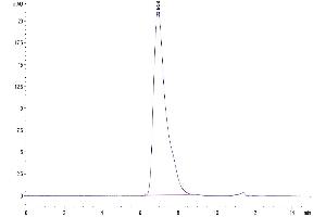 The purity of Mouse GPA is greater than 95 % as determined by SEC-HPLC.